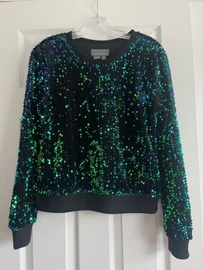 Anthropologie Green & Blue Sequin Sweatshirt Small